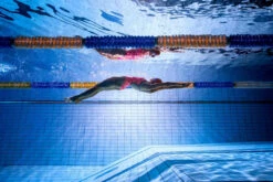 Funkita - Best Cellar - Ladies Single Strap One Piece -Swimwear Shop funkita best cellar single strap ladies one piece swimsuit 6