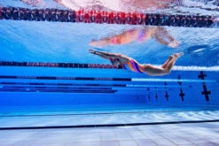 Funkita - Fine Lines - Ladies Single Strap One Piece -Swimwear Shop funkita fine lines single strap ladies one piece 6