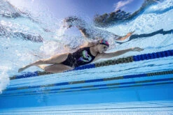 Funkita - Sexy Rexy - Ladies Strapped In One Piece 28 Funkita - Sexy Rexy - Ladies Strapped In One Piece -Swimwear Shop funkita sexy rexy ladies strapped in one piece 14