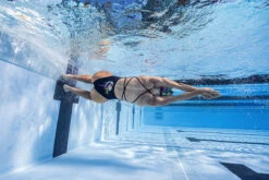 Funkita - Sexy Rexy - Ladies Strapped In One Piece 29 Funkita - Sexy Rexy - Ladies Strapped In One Piece -Swimwear Shop funkita sexy rexy ladies strapped in one piece 15